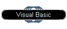 Visual Basic